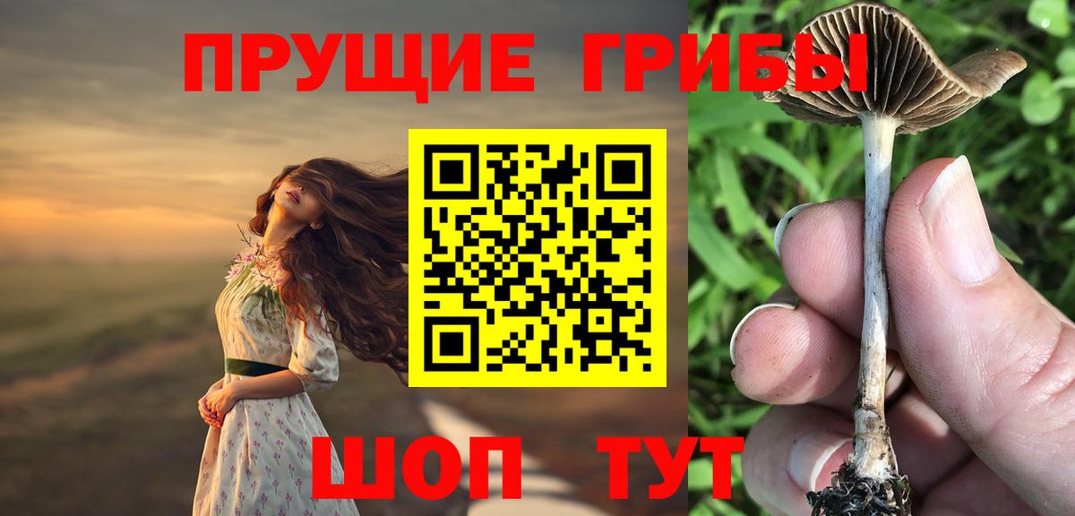 Псилоцибиновые грибы Psilocybe  Псилоцибиновые грибы MAGIC MUSHROOMS  купить наркоту  Вход с VPN  Клин 