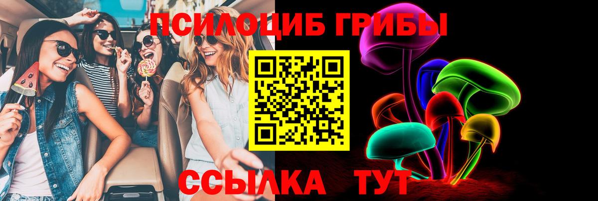 Галлюциногенные грибы прущие грибы Клин